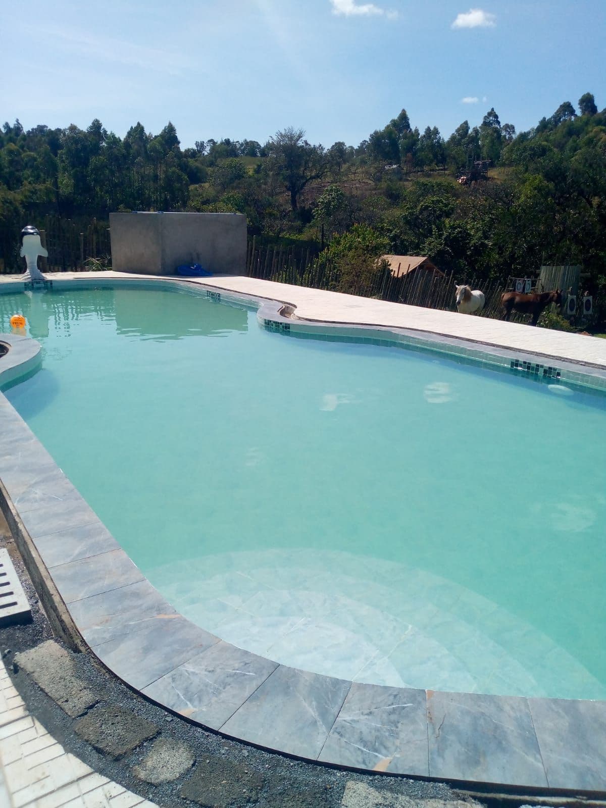 Commercial Pool Renovation & Upgrade